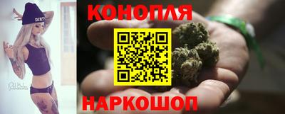 крисы Нальчик