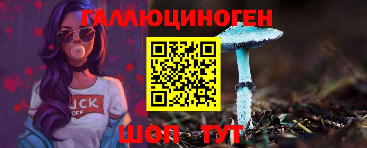 Галлюциногенные грибы Cubensis Бахчисарай
